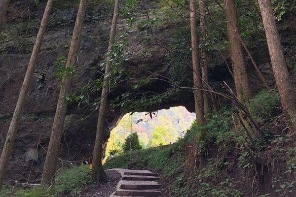 Miyazaki Kumamoto Exploration Tour | Kamishikimi Kumanoza Shrine, Amanoiwato, Takachiho Gorge, Mount Aso, Kurokawa Onsen Day Trip | Departing from Fukuoka - Amanoiwato and the gods’ gathering place