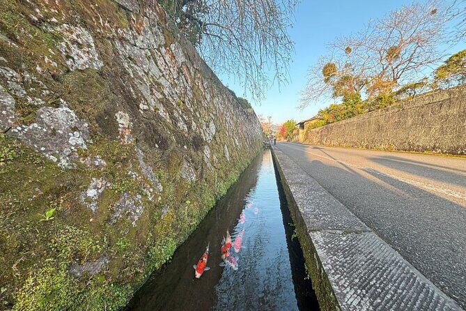 Miyazaki Private Tour by Car - The Sum Up: Is It Worth It?