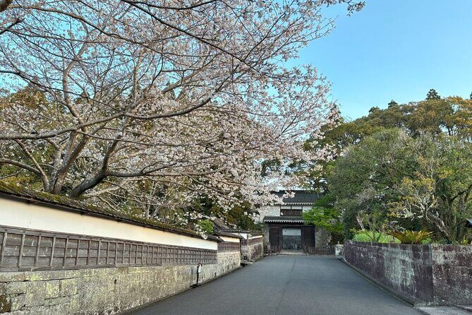 Miyazaki Private Tour by Car - FAQ