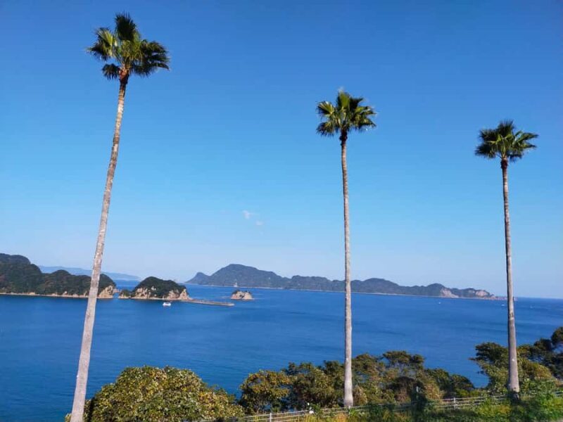 Miyazaki: Surfing Lesson with Equipment Rental Service - Good To Know