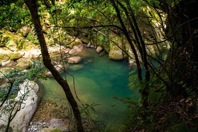 Miyazaki Valley Waterfall Hike - Overview of Miyazaki Valley Waterfall Hike