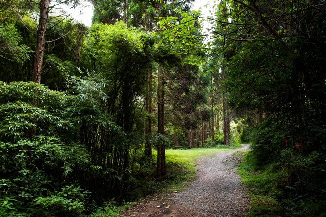 Miyazaki Valley Waterfall Hike - Best Time to Visit Miyazaki Valley Waterfall