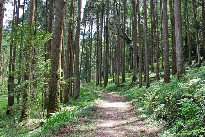 Miyazaki Valley Waterfall Hike - Safety Tips for Hiking in Miyazaki Valley