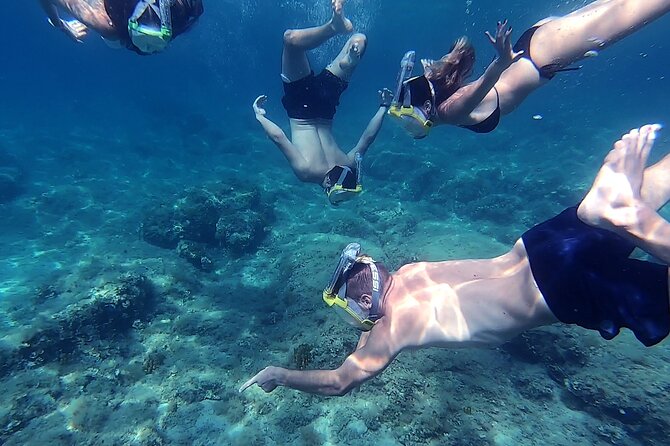 Mljet National Park - Private Boat Excursion From Dubrovnik - Tour Inclusions