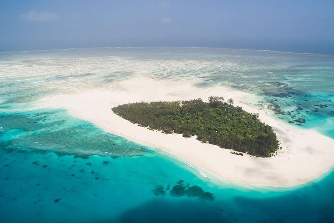 Mnemba Island Sea Trip the Live Aquarium & Turtle House With Transfer - Zanzibar - Reviews