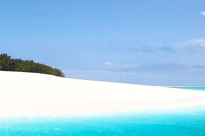 Mnemba Island Tour, Jozani Forest, Secret Garden, Spice Tour, Emerson Restaurant - Logistics and Accessibility