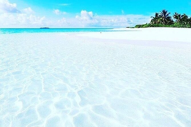 Mnemba Island Tour, Jozani Forest, Secret Garden, Spice Tour, Emerson Restaurant - Booking and Reservation Process