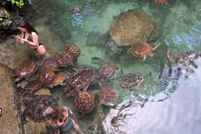 Mnemba Snorkeling, Dolphin and Baraka Natural Aquarium - Additional Information on Weather and Travelers