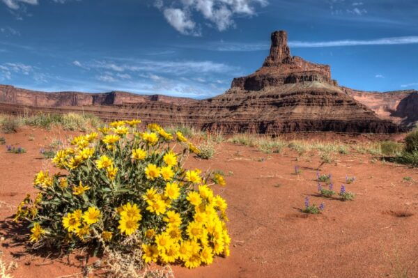 Moab: Canyonlands National Park 4x4 White Rim Tour - The Sum Up
