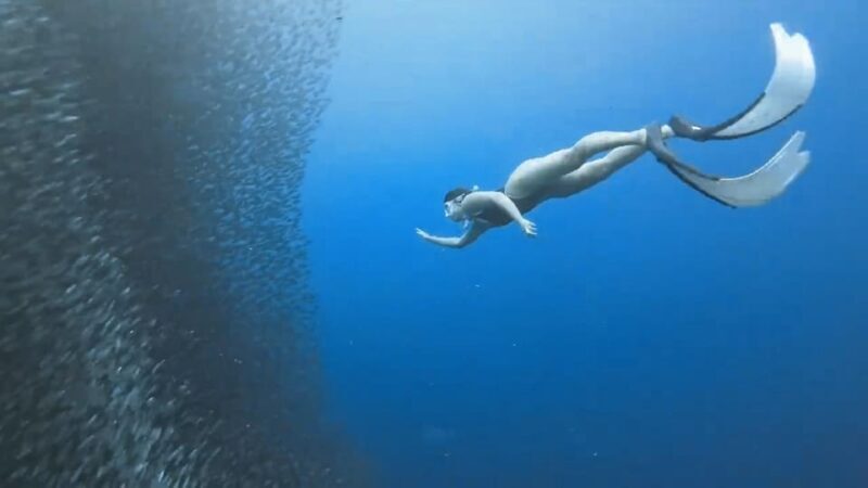 Moalboal: Pescador Island & Mantayupan Falls Adventure! - Lunch Break & Local Snacks in Moalboal