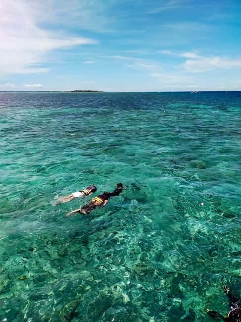 Moalboal: Private Beginner's Canyoning and Sardines & Turtle - Practical Details: What You Need to Know