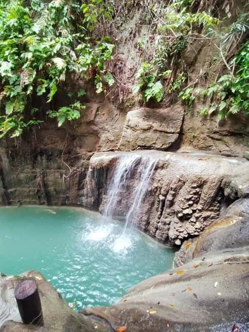 Moalboal: Private Beginner's Canyoning and Sardines & Turtle - The Sum Up: Who Should Book This Tour?