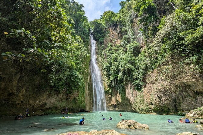 Moalboal Sardine Run, Sea Turtle and Mantayupan Falls - Authentic Experiences from Reviews