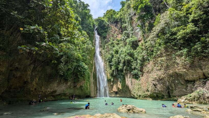 Moalboal Sardine Run, Sea Turtle & Mantayupan Falls - An In-Depth Look at the Moalboal Experience
