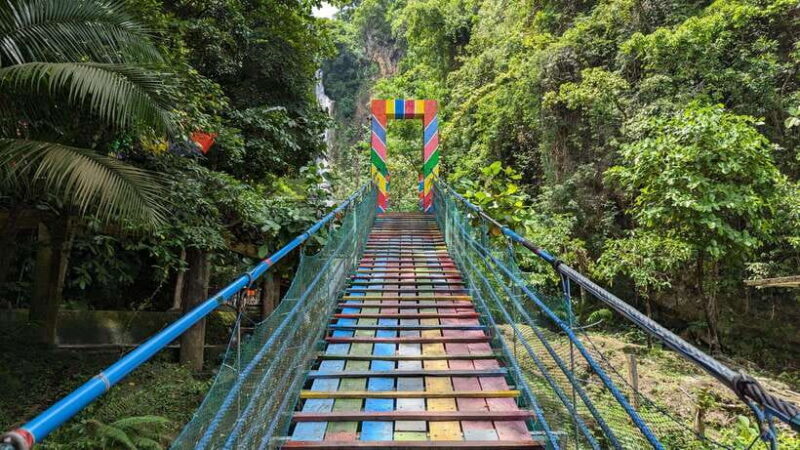 Moalboal Sardine Run, Sea Turtle & Mantayupan Falls - Who Should Book This Tour?