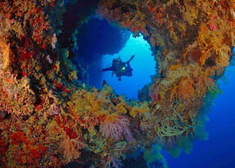 Moalboal: Scuba Diving and Pescador Island Hopping - FAQ