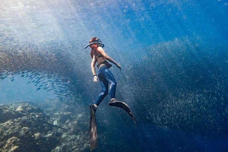 Moalboal: Scuba Diving and Pescador Island Hopping - Moalboal: Scuba Diving and Pescador Island Hopping