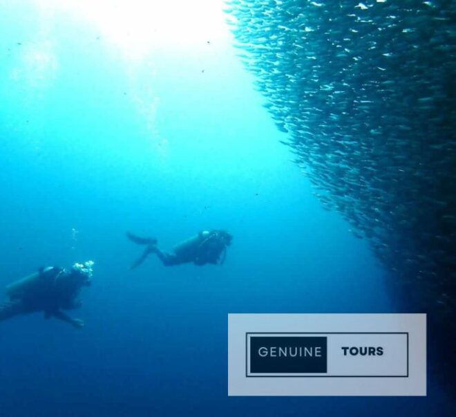 Moalboal: Scuba Diving With the Sardine and Sea Turtles - Directions and Logistics