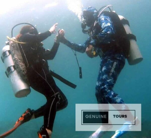 Moalboal: Scuba Diving With the Sardine and Sea Turtles - Encounter Sea Turtles: A Memorable Experience