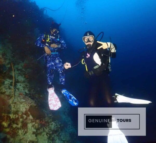 Moalboal: Scuba Diving With the Sardine and Sea Turtles - The Sum Up