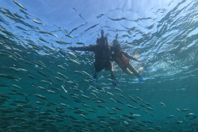 Moalboal Snorkeling and Kawasan Falls Canyoning Private Tour (Feb ) - Snorkeling at Pescador Island