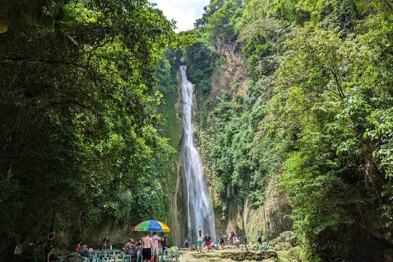 Moalboal Snorkeling Sardine Run, Sea Turtle & Mantayupan Waterfalls - The early start and long drive
