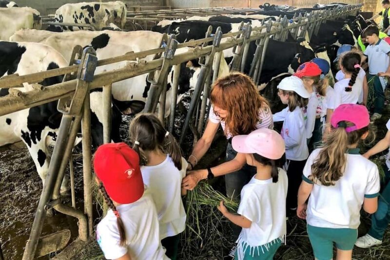 Moca: Farm Tour with Animal Feeding and Egg Collecting - The Animal Encounters: A Closer Look