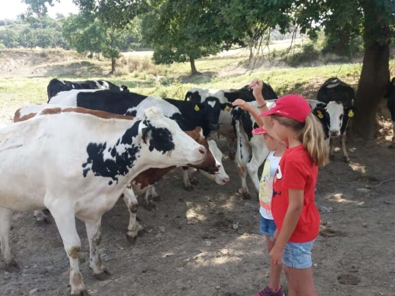 Moca: Farm Tour with Animal Feeding and Egg Collecting - Comparing Similar Experiences