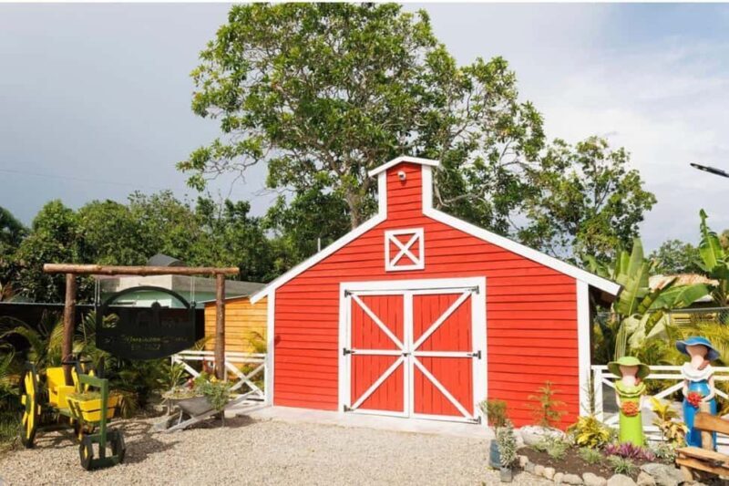 Moca: Farm Tour with Animal Feeding and Egg Collecting - FAQ