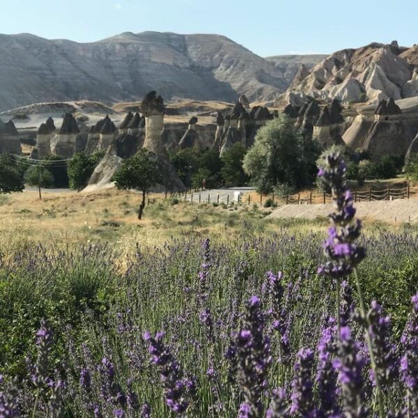 Mochiron Tour Full Day Cappadocia With Japanese Guide - Frequently Asked Questions