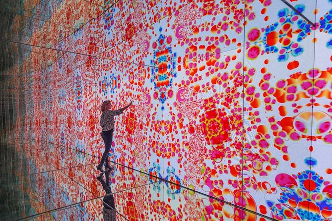 Moco Museum Amsterdam Admission Ticket - Banksy and More - The Sum Up