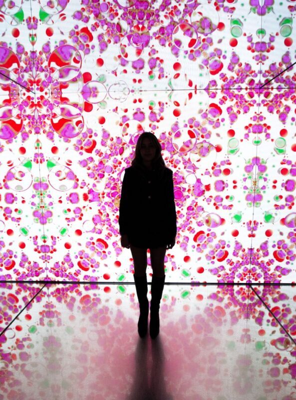 Moco Museum Ticket in Amsterdam - Saving time for the basement and courtyard