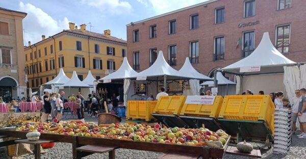 Modena: a Stunning City - Frequently Asked Questions