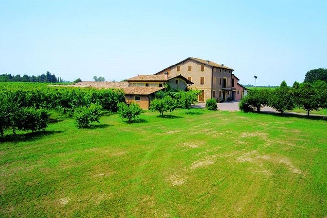 Modena Area: Balsamic Vinegar “Aceto” Tasting Experience - Sample a Variety of Balsamic Creations