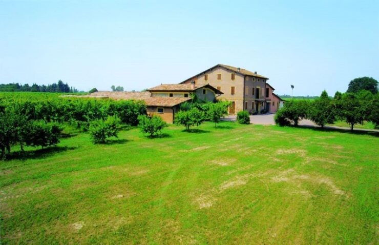 Modena: Balsamic Vinegar Tasting Experience - Activity Details