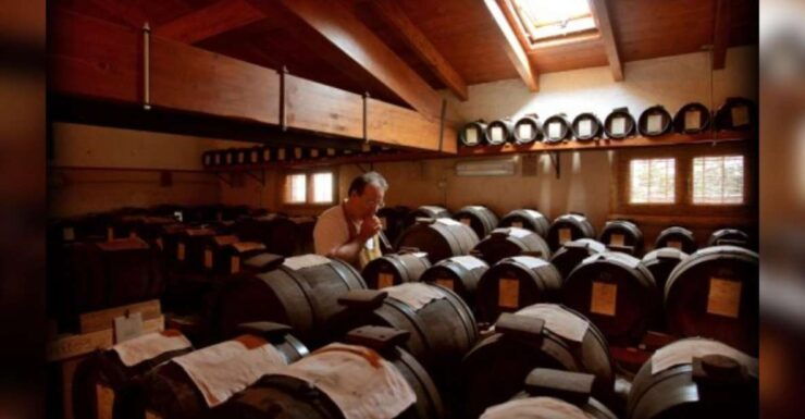 Modena: Bio Tasting Tour of Aceto Balsamico Di Modena DOP - Tour Overview