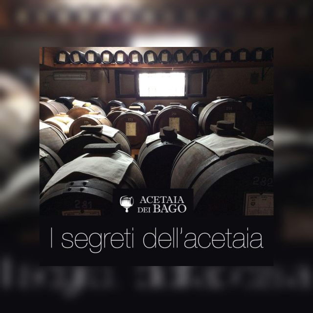 Modena: Bio Tasting Tour of Aceto Balsamico Di Modena DOP - Collaboration Partners