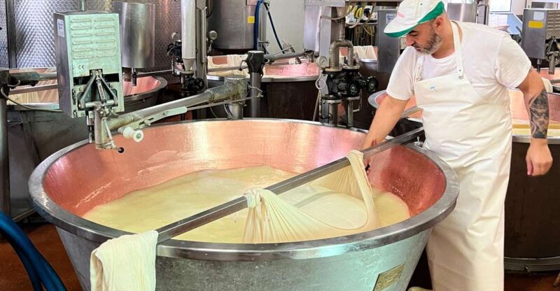 Modena/Bologna: Ferrari, Lambo, Cheese, Vinegar Tour w/Lunch - Good To Know