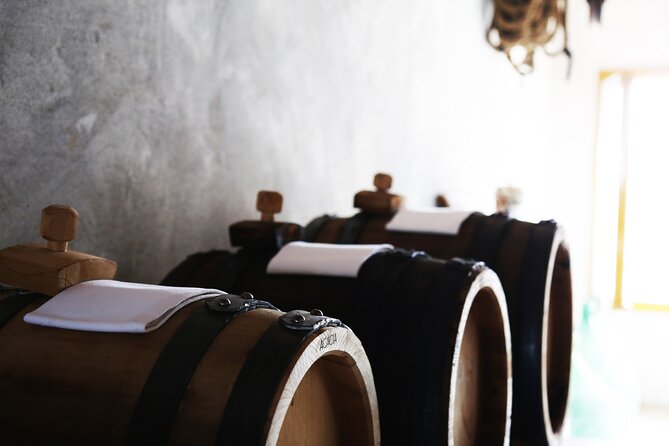 Modena Gastronomic Tour With Typical Lunch - Additional Information