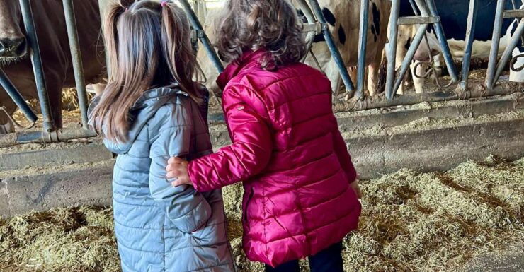 Modena: Parmesan, Balsamic Vinegar, Lambrusco + Light Lunch - Visit Organic Parmesan Dairy Farm