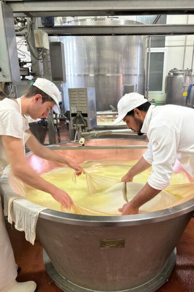 Modena Tour: Motor & Food Valley - Booking Your Tour