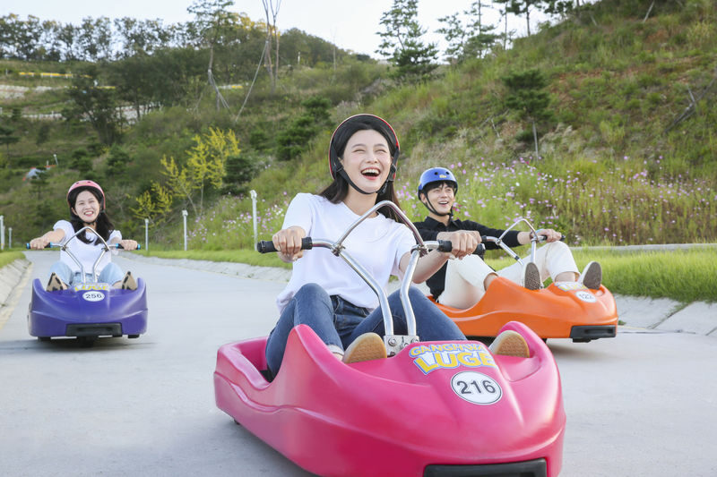 Modern Korean History & Ganghwa Luge Adventure - Key points at a glance