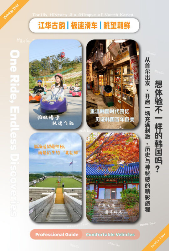 Modern Korean History & Ganghwa Luge Adventure - A museum visit followed by a luge ride