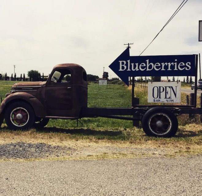 Modesto: Fruits and Roots Tour Driving Audio Guide Tour - Experience Description