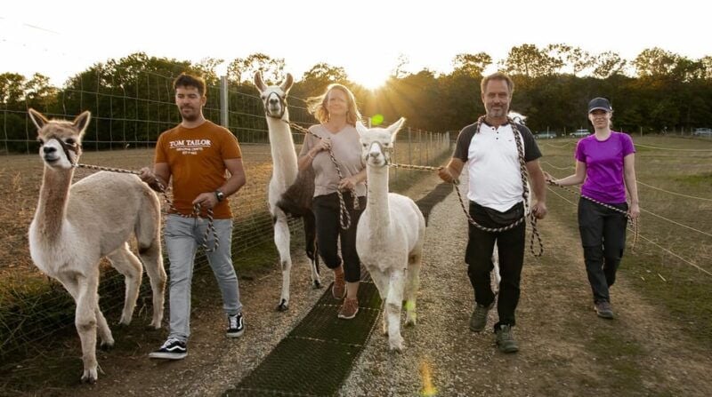 Mödling/Vienna: Scenic Guided Hike with Alpacas and Llamas - What Travelers Love About This Experience