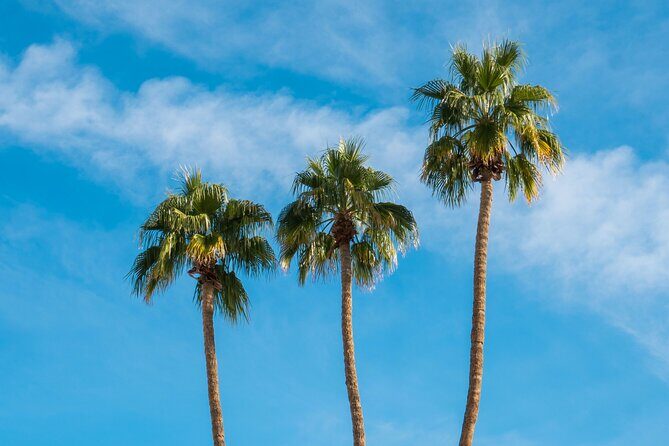 Mods & Icons Tour of Palm Springs - Is This Tour Right for You?