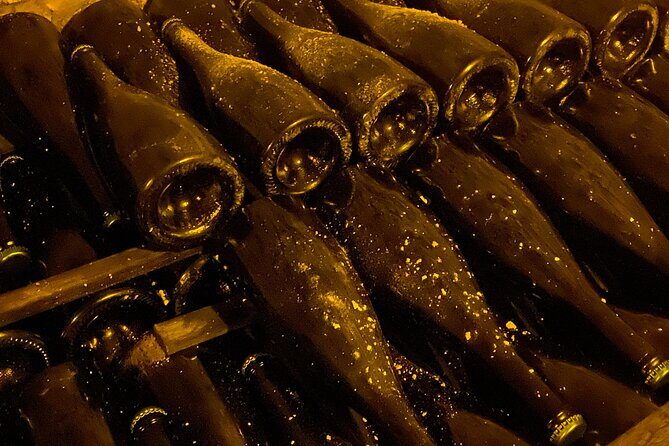 Moet et Chandon Taittigner Private Champagne Day trip from Paris - Final Thoughts