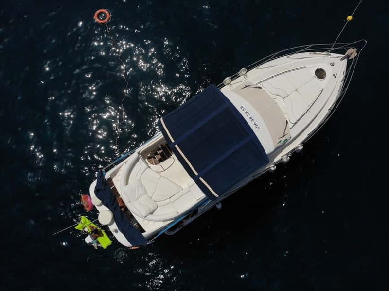 Mogan: Dolphin Watching Boat Trip with Swim Stop - Final thoughts: Is this tour worth it?