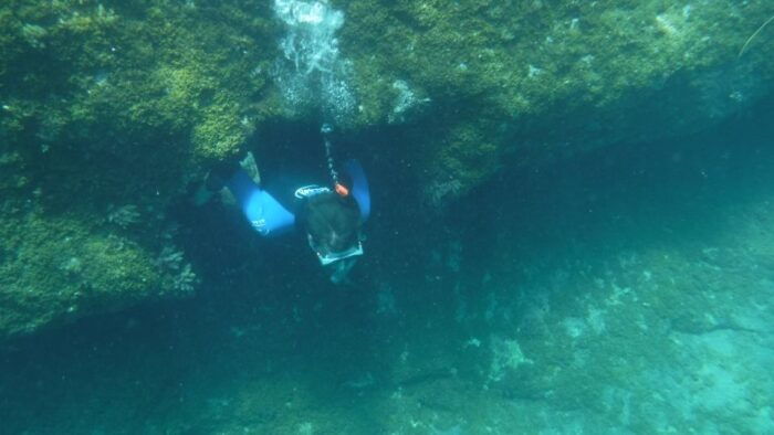 Mogán: Guided Kayak to Caves and Snorkeling Tour - Common Questions