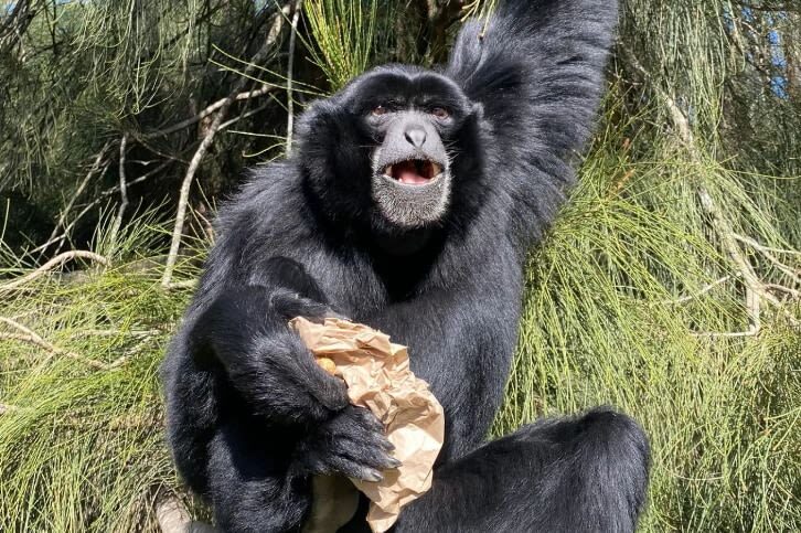 Mogo Wildlife Park Ticket - A few practical details before you go